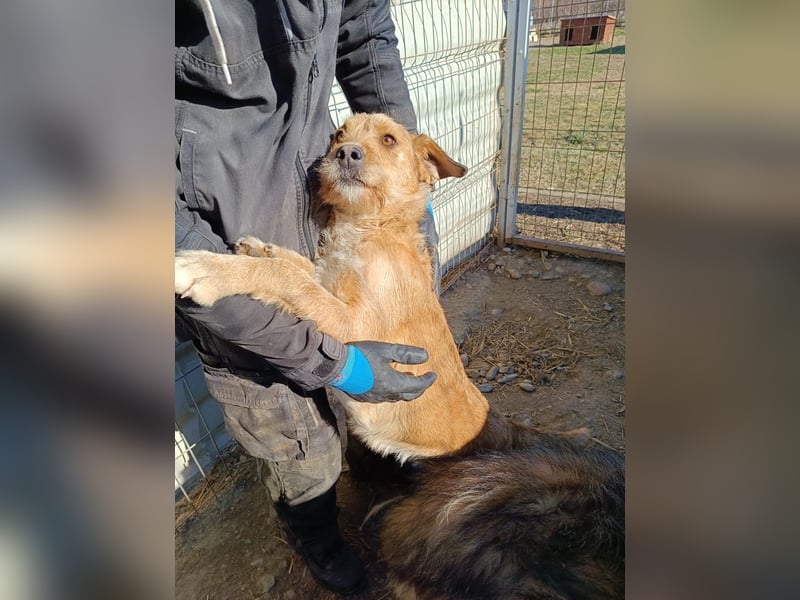 Lilli sucht Menschen mit denen sie ausgiebig kuscheln kann