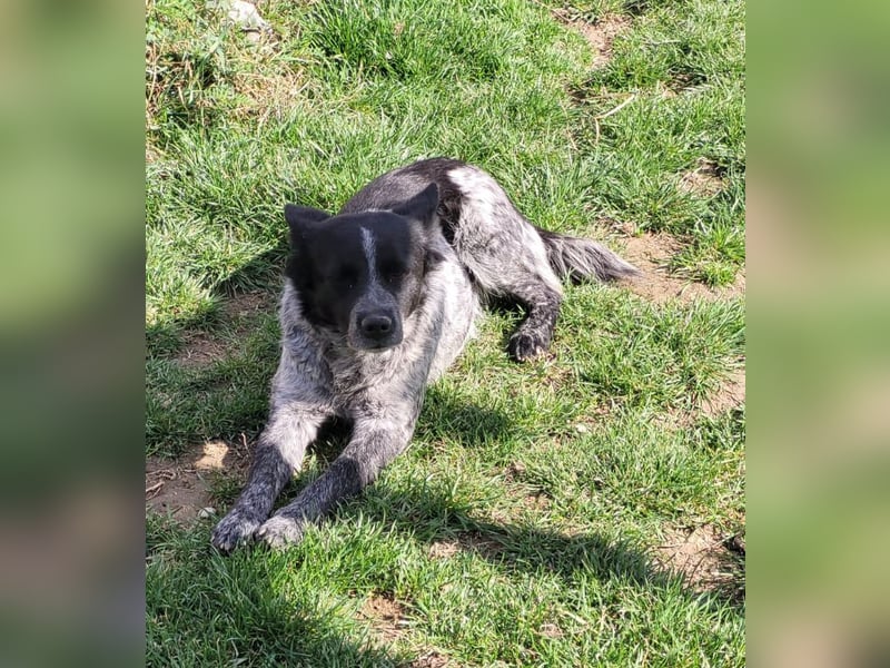 Tarja, sucht Menschen die ihr zeigen wie schön das Leben ist