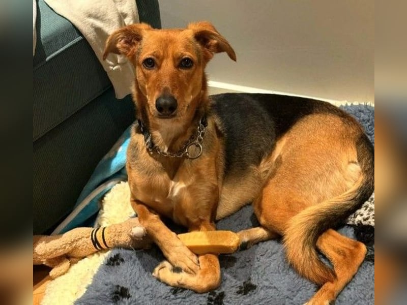 freundliche, liebe Faye