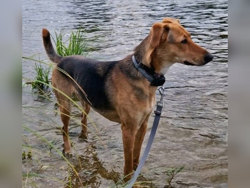 freundliche, liebe Faye