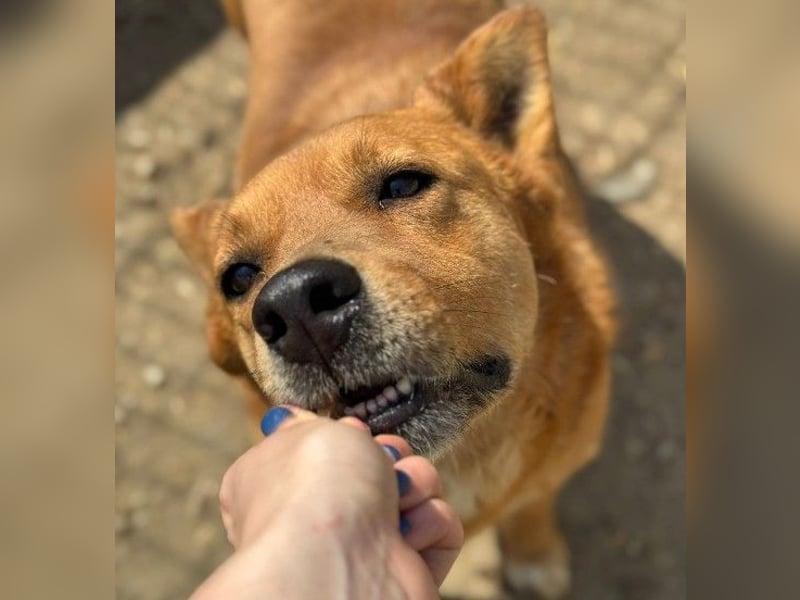 DAISY, skeptisch, aber neugierig