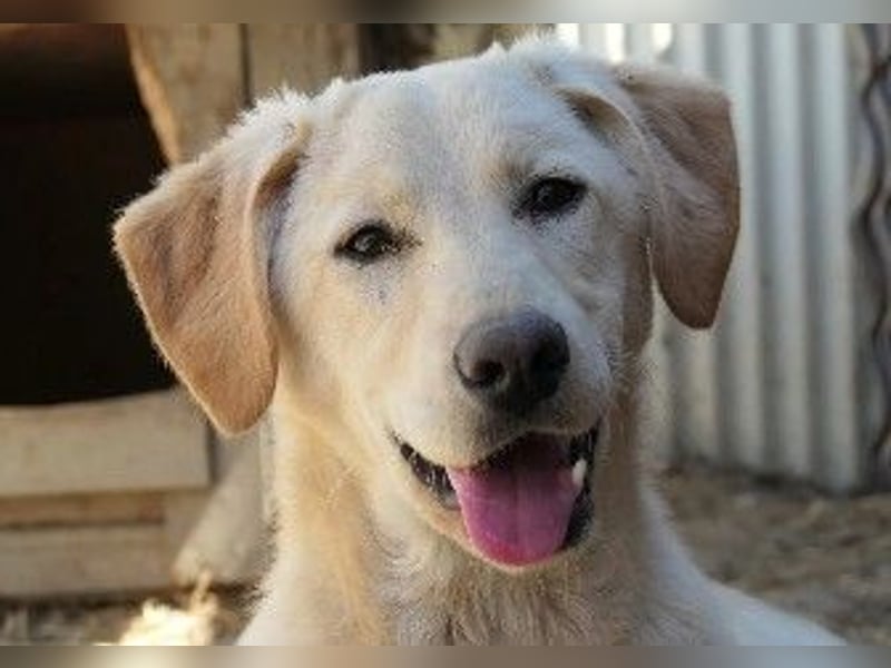 Zauberhafte Olina sucht ihre Familie