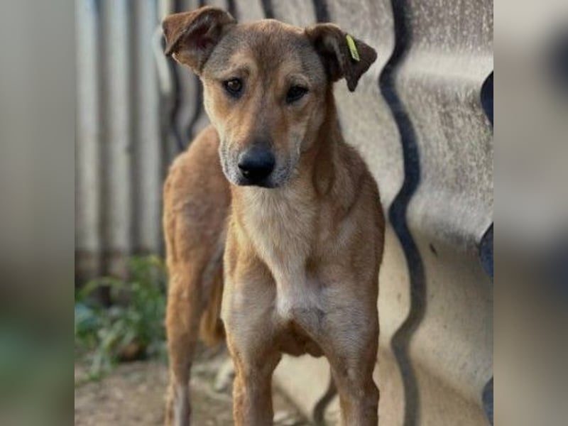 zauberhafte, liebe Janika