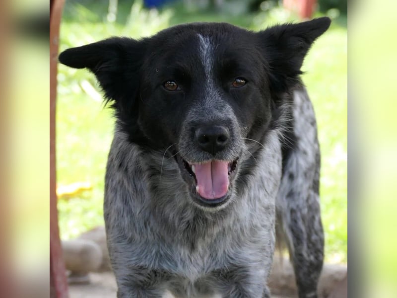 Tarja wartet auf ihre Herzensmenschen