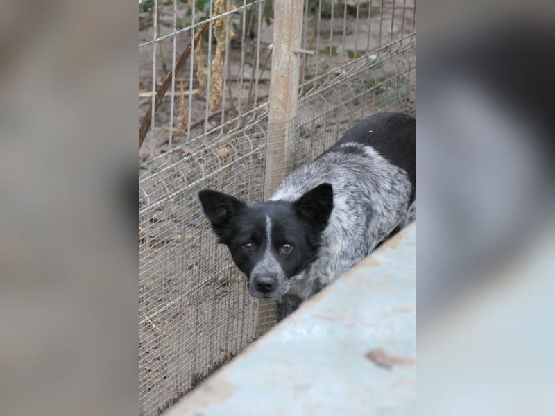 Tarja wartet auf ihre Herzensmenschen