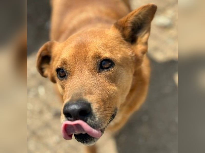 DAISY, skeptisch, aber neugierig