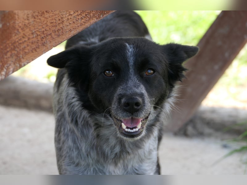 Tarja wartet auf ihre Herzensmenschen