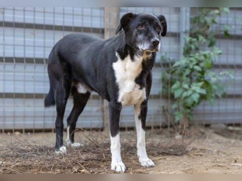 schüchterner Negry sucht dringend seine Familie