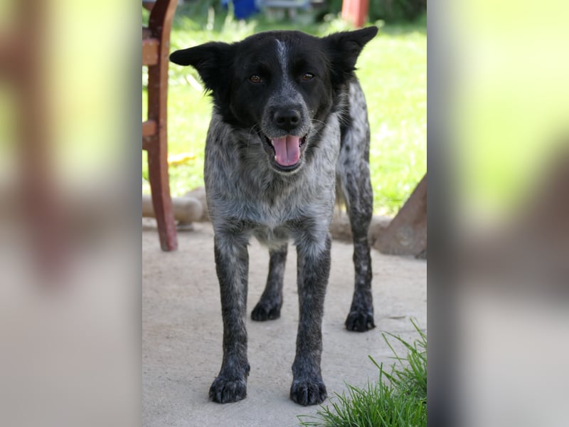 Tarja, sucht Menschen die ihr zeigen wie schön das Leben ist