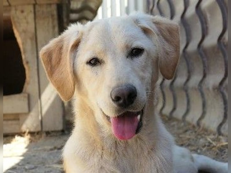 Zauberhafte Olina sucht ihre Familie