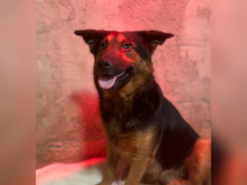 liebe, wunderschöne Donna