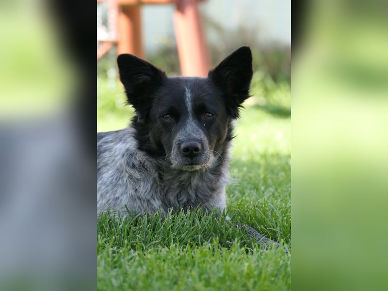 Tarja sucht ihre Vertrauenspersonen