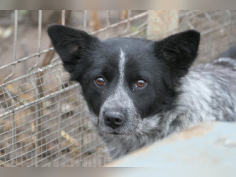 Tarja wartet auf ihre Herzensmenschen