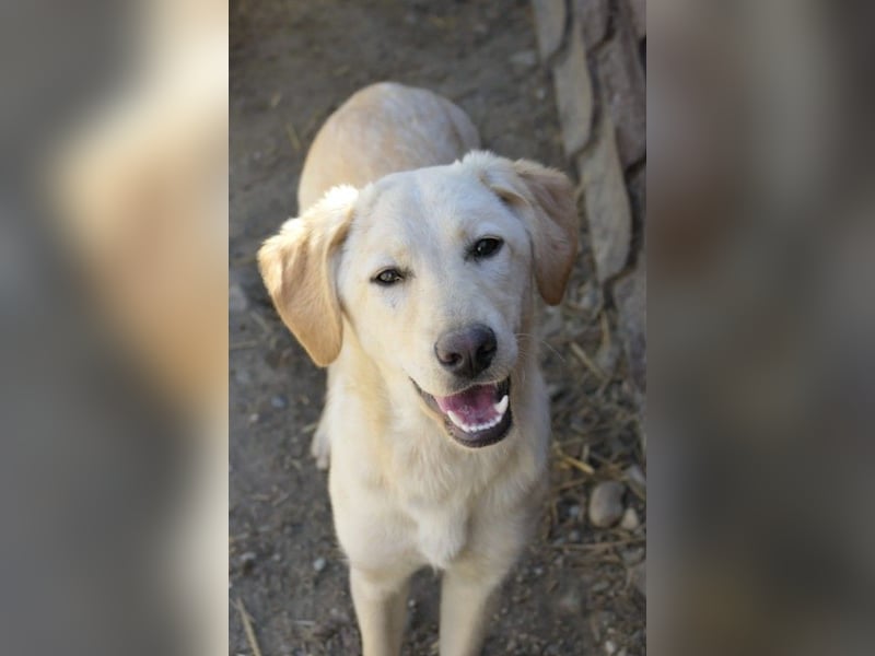 Olina wartet auf ihre Herzensmenschen die ihr Struktur und Sicherheit geben