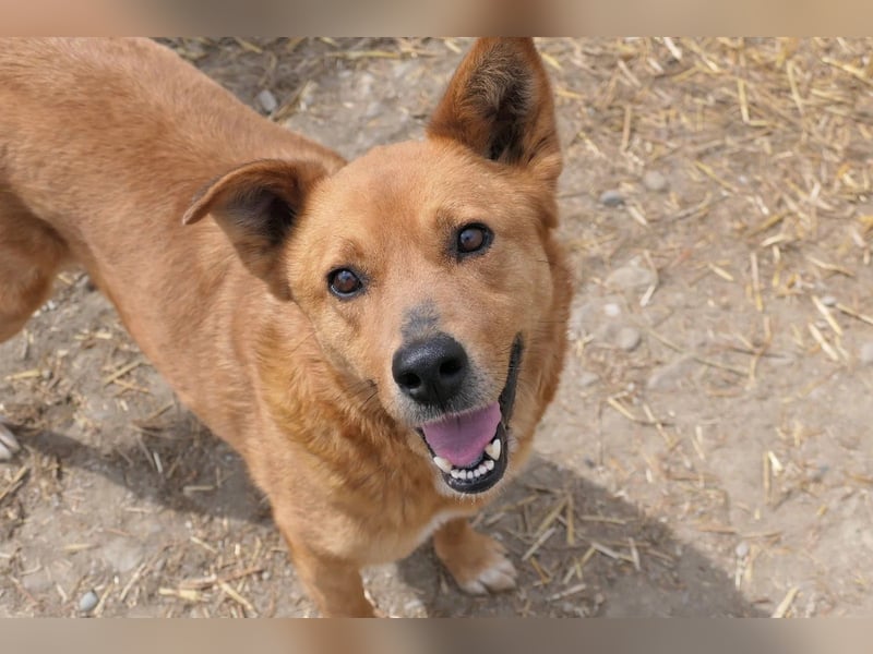 DAISY, skeptisch, aber neugierig