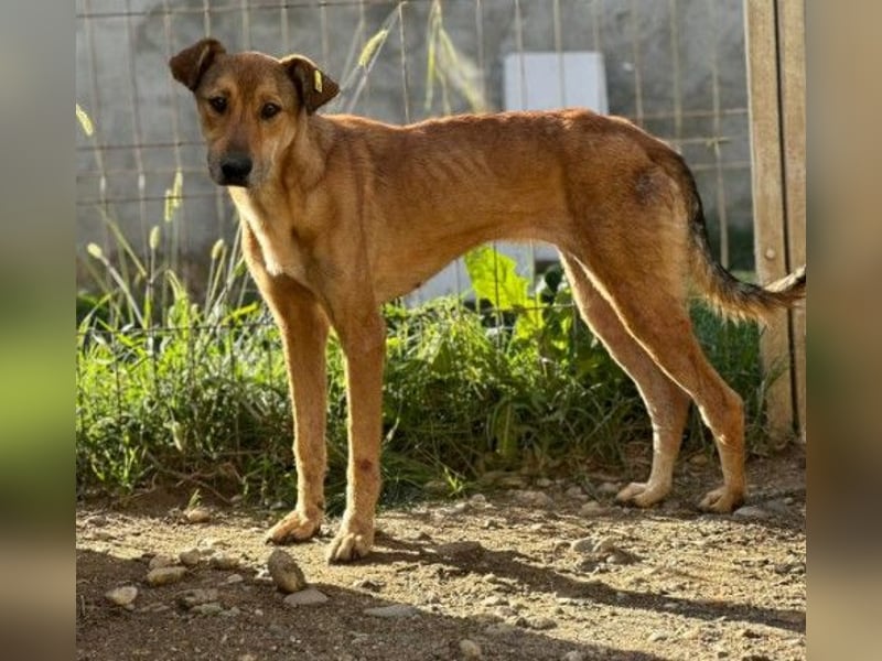 zauberhafte, liebe Janika