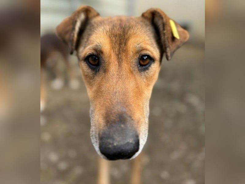 zauberhafte, liebe Janika