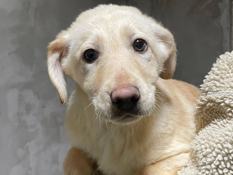 Olina wartet auf ihre Herzensmenschen die ihr Struktur und Sicherheit geben