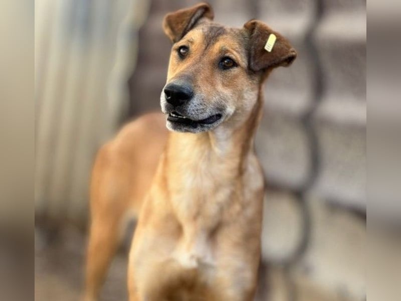 zauberhafte, liebe Janika