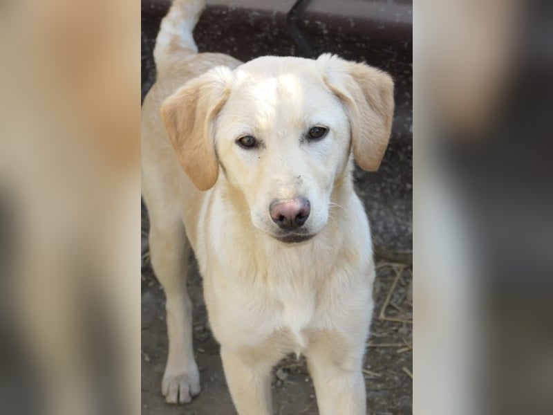 Olina wartet auf ihre Herzensmenschen die ihr Struktur und Sicherheit geben