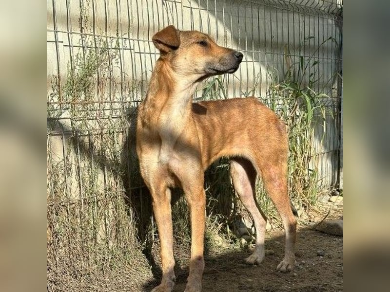 zauberhafte, liebe Janika