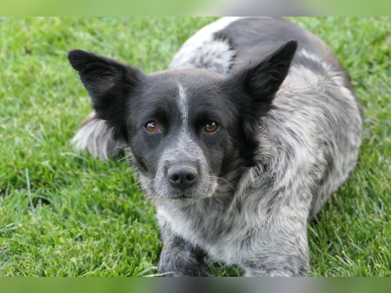 Tarja wartet auf ihre Herzensmenschen