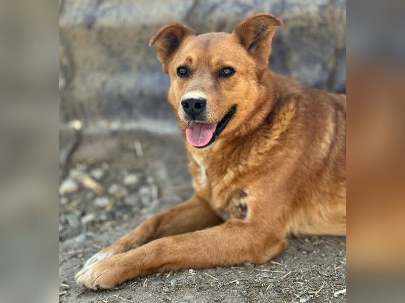 DAISY, skeptisch, aber neugierig