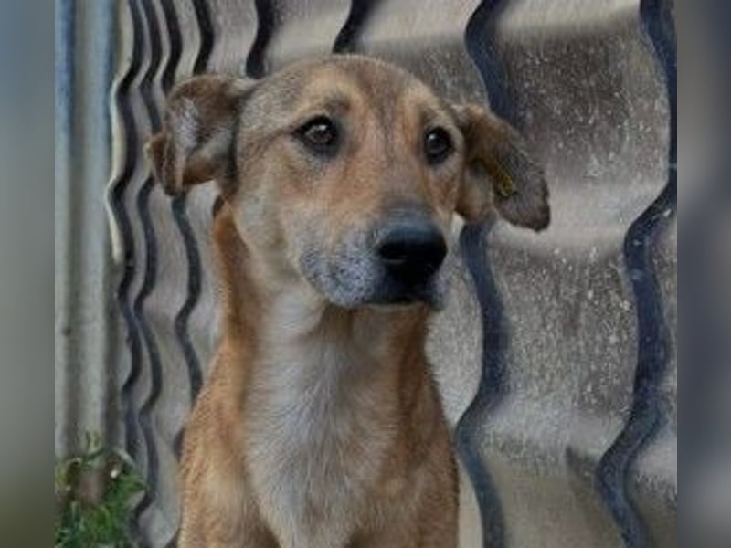 zauberhafte, liebe Janika