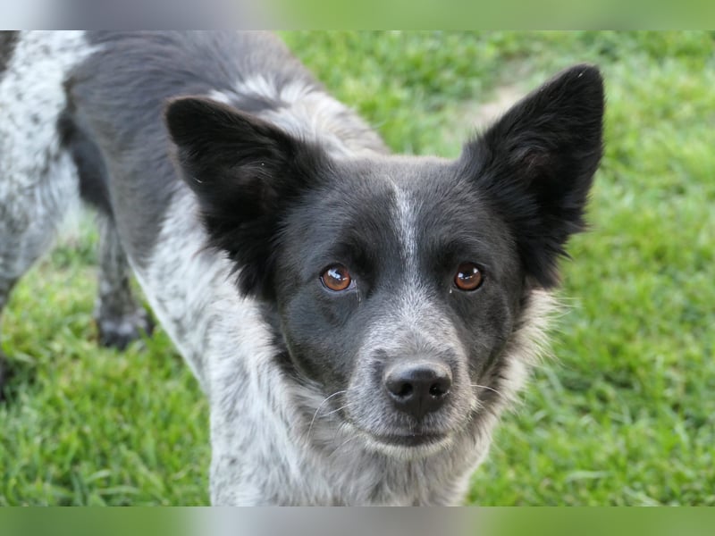 Tarja, sucht Menschen die ihr zeigen wie schön das Leben ist