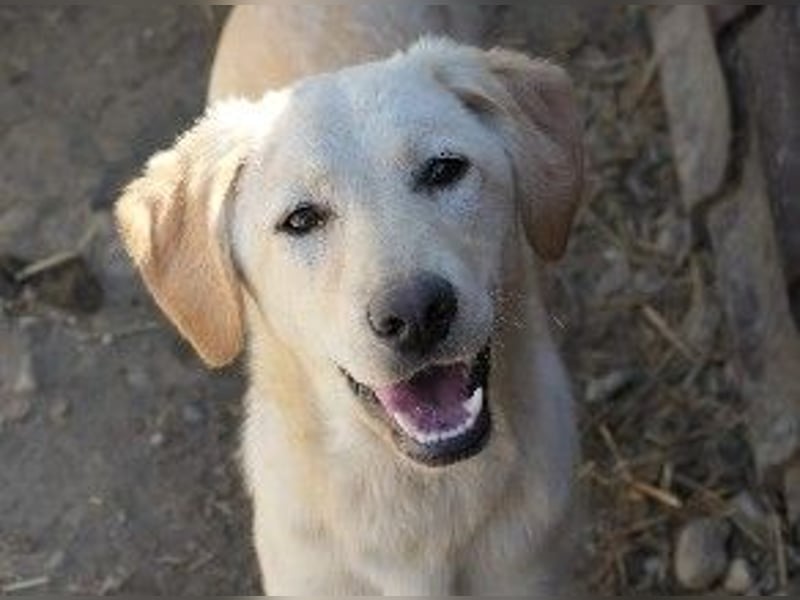 Zauberhafte Olina sucht ihre Familie