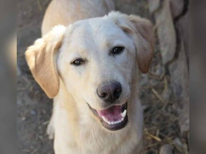 Zauberhafte Olina sucht ihre Familie