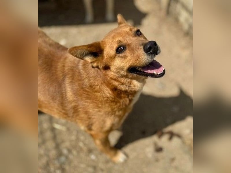 DAISY, skeptisch, aber neugierig