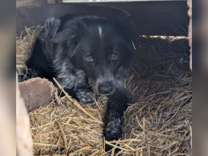 schüchterne, wunderschöne Nila