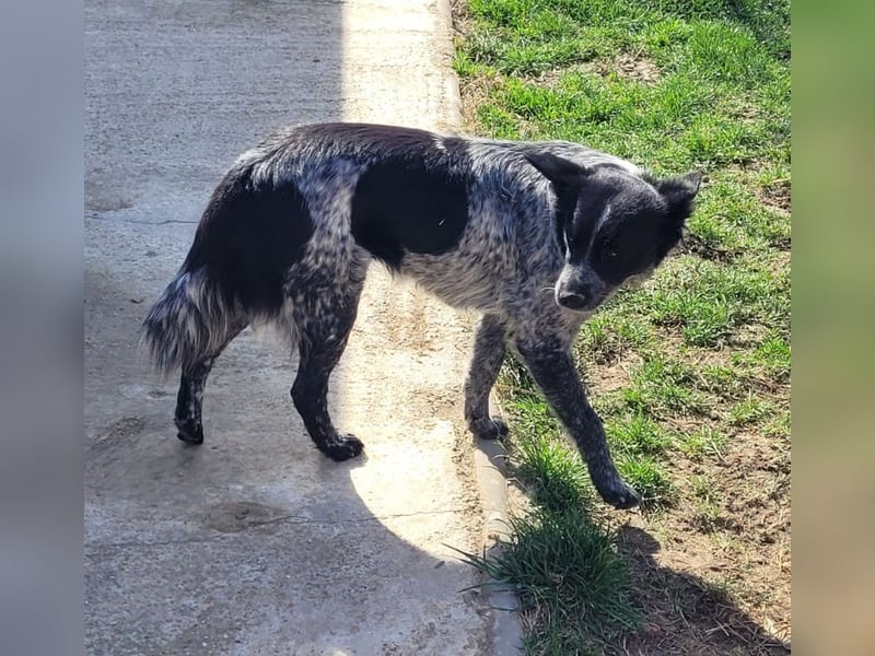 Tarja, sucht Menschen die ihr zeigen wie schön das Leben ist