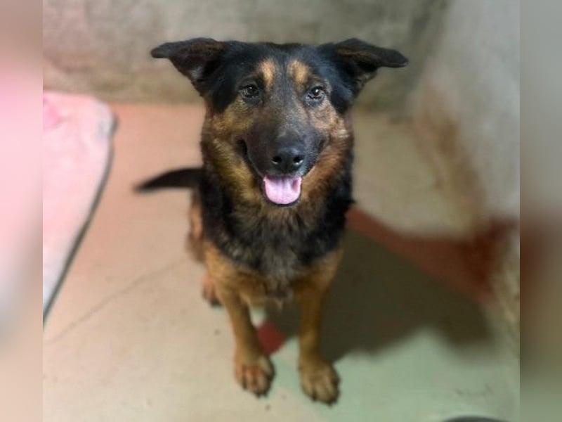 liebe, wunderschöne Donna