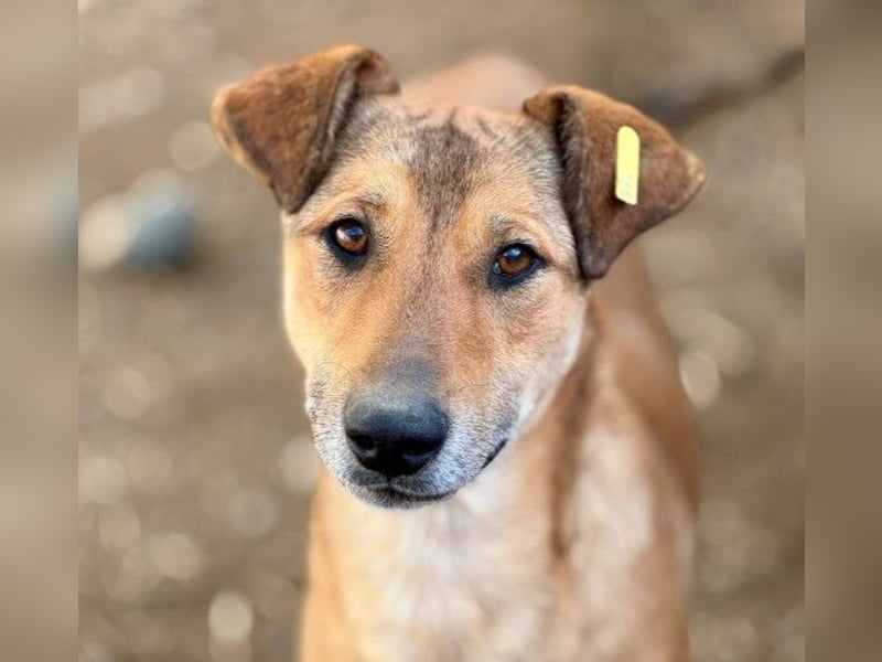 zauberhafte, liebe Janika