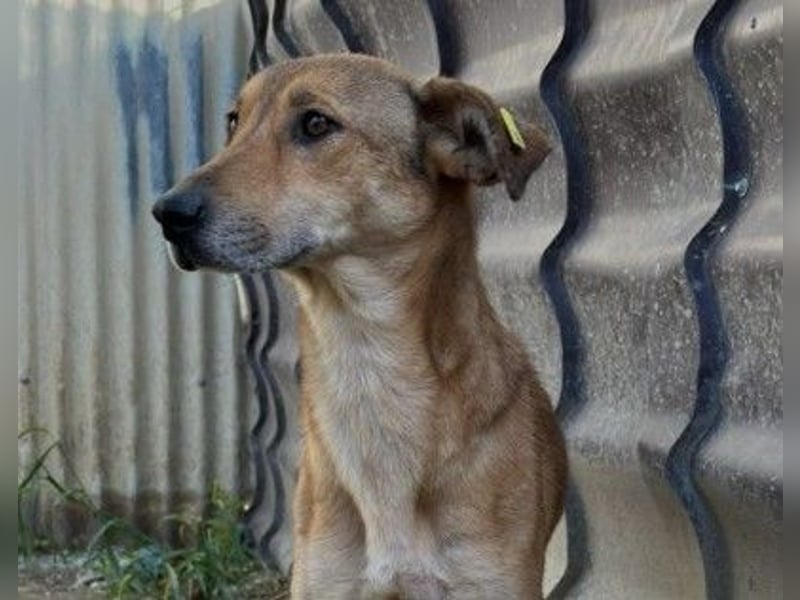 zauberhafte, liebe Janika