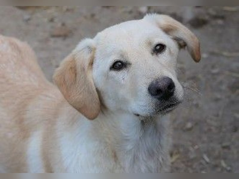 Zauberhafte Olina sucht ihre Familie