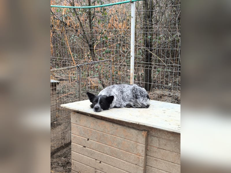 Tarja wartet auf ihre Herzensmenschen