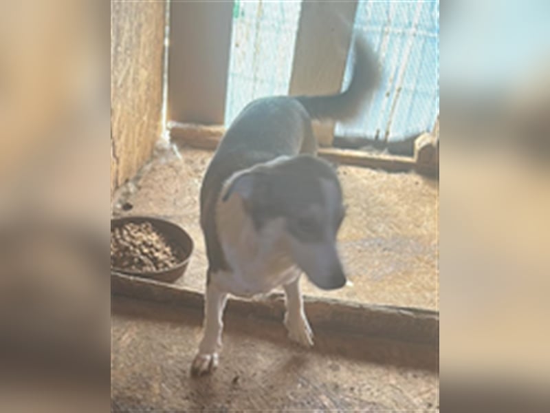 Mallon sucht seine Familie