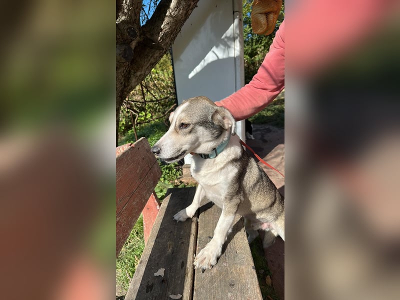 Mallon sucht seine Familie