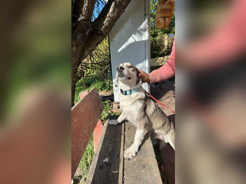 Mallon sucht seine Familie