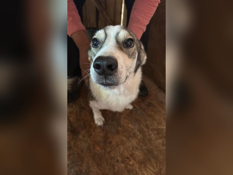 Mallon sucht seine Familie