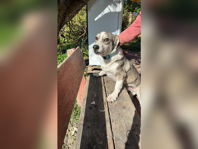 Mallon sucht seine Familie