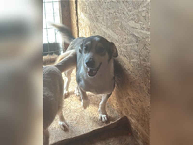 Mallon sucht seine Familie