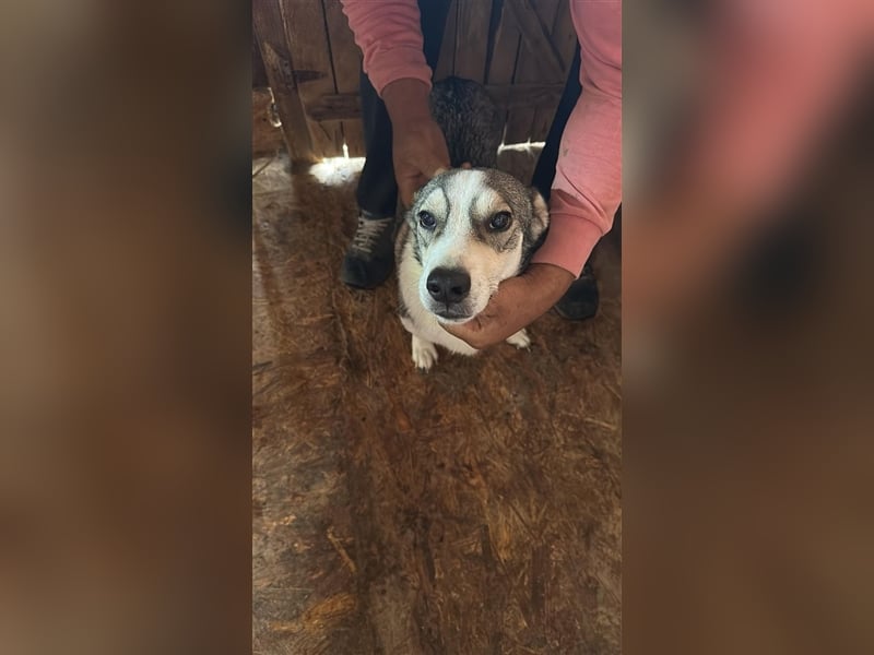 Mallon sucht seine Familie