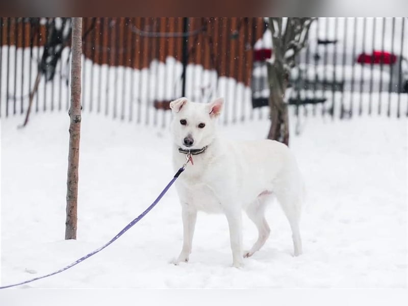 CAPRICE- hat einjähriges Leben verdient