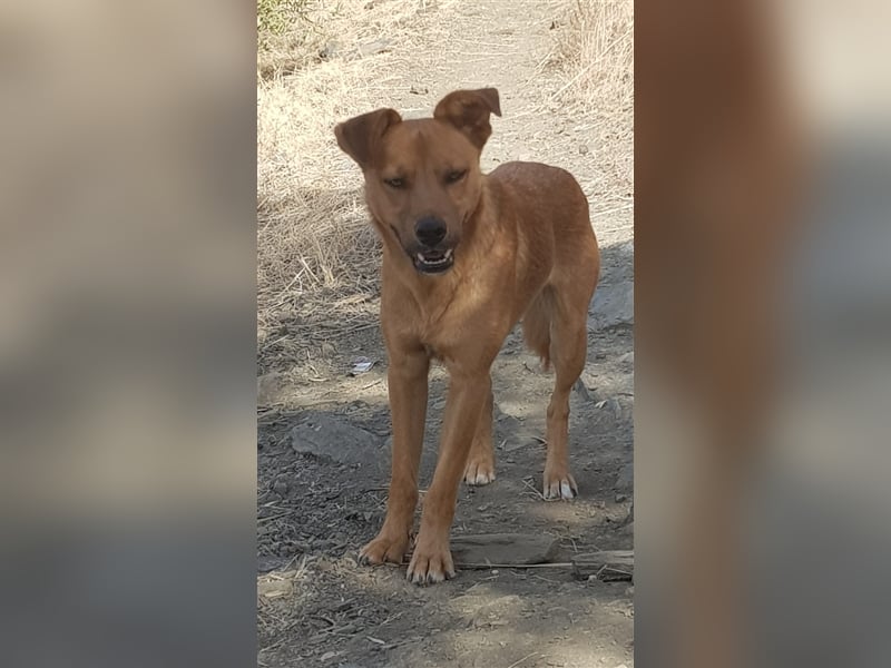 Ben unser Angstnäschen