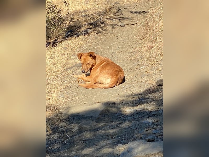 Ben unser Angstnäschen