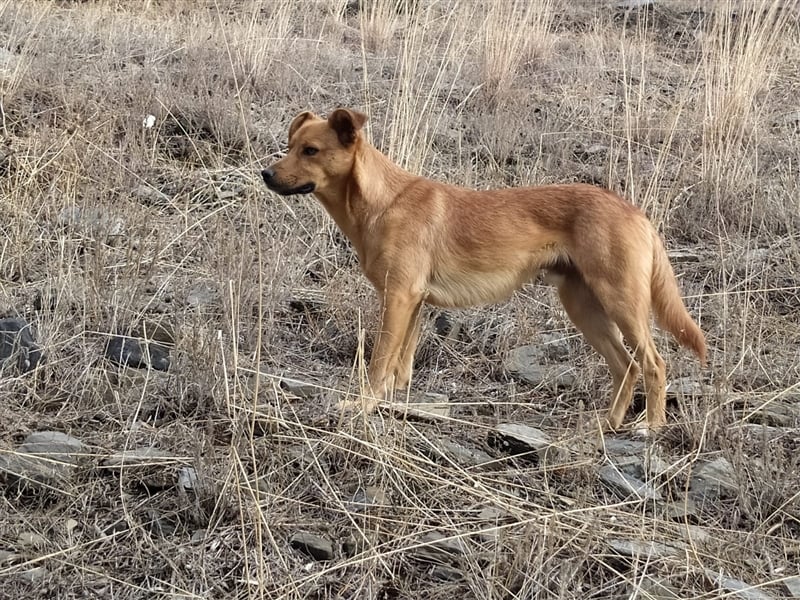 Ben unser Angstnäschen
